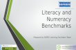 Literacy and Numeracy Benchmarks Prepared by SAPDC Learning Facilitator Team.