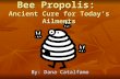Bee Propolis: Ancient Cure for Today’s Ailments By: Dana Catalfamo.