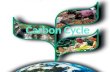Carbon Cycle. What is Carbon and carbon dioxide?