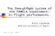 The Time-of-Flight system of the PAMELA experiment: in-flight performances. Rita Carbone INFN and University of Napoli RICAP ’07, Rome, 21-06-07.