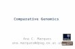 Comparative Genomics Ana C. Marques ana.marques@dpag.ox.ac.uk.