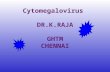 Cytomegalovirus DR.K.RAJA GHTM CHENNAI. LEARNING OBJECTIVES CMV IN IMMUNO COMPETENT PATIENTS CMV IN IMMUNO COMPROMISED PATIENTS CMV IN PREGNANT WOMEN.