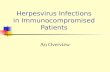 Herpesvirus Infections in Immunocompromised Patients An Overview.