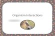 Organism Interactions. How do organisms interact in an ecosystem? A community is… All the biotic factors within an ecosystem. How do the different populations.