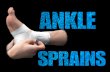 MOST COMMON INJURY GROSS AND FUNCTIONAL ANATOMY OF THE ANKLE JOINT.