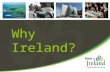 Why Ireland?. Easy Access 190+ routes to Ireland – over 63 Airlines Over 100 air routes from 29 British airports T2 opened November 2010, increase.