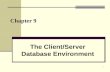 1 Chapter 9 The Client/Server Database Environment.