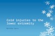 Cold injuries to the lower extremity Matthew Spiva.