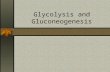 Glycolysis and Gluconeogenesis. Glycolysis What is glycolysis? sequence of reactions that converts one molecule of glucose to two molecules of pyruvate.