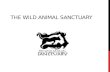 THE WILD ANIMAL SANCTUARY. BACKGROUND The Wild Animal Sanctuary is a 720 acre wildlife rescue facility located in Keansburg Co They work to rescue captive.