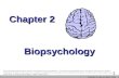 Copyright © Allyn and Bacon 2003 1 Biopsychology Chapter 2 This multimedia product and its contents are protected under copyright law. The following are.