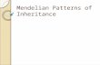 Mendelian Patterns of Inheritance. Gregor Mendel Genetics is the study of heredity. Mendel was an Austrian monk who studied genetics in the 1860s using.