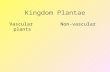 Kingdom Plantae Vascular Non-vascular plants KINGDOM PLANTAE NON-VASCULAR PLANTS ‘ no plumbing’ TERRESTRIAL Mosses The Bryophytes AQUATIC Algae Phylum.