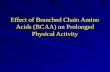Effect of Branched Chain Amino Acids (BCAA) on Prolonged Physical Activity.