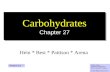 1 Carbohydrates Chapter 27 Hein * Best * Pattison * Arena Colleen Kelley Chemistry Department Pima Community College © John Wiley and Sons, Inc. Version.