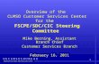 1 Overview of the CLMSO Customer Services Center for the FSCPE/SDC/CIC Steering Committee Mike Berning, Assistant Branch Chief Customer Services Branch.