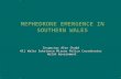 MEPHEDRONE EMERGENCE IN SOUTHERN WALES Inspector Alex Chadd All Wales Substance Misuse Police Coordinator Welsh Government Welsh Government.