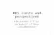 DDS limits and perspectives Alessandro D’Elia on behalf of UMAN Collaboration 1.