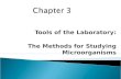 Tools of the Laboratory: The Methods for Studying Microorganisms.
