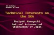 Technical Interests on the SKA Noriyuki Kawaguchi National Astronomical Observatory of Japan SKA Workshop November 5, 2010.