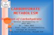 C ARBOHYDRATE M ETABOLISM Digestion of Carbohydrate General Biochemistry-II (BCH 302) Dr. Saba Abdi Asst. Prof. Dept. Of Biochemistry College Of Science.