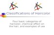 Classifications of Haircolor Four basic categories of haircolor, chemical effect on the hair, and examples of use.