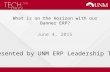 What is on the Horizon with our Banner ERP? June 4, 2015 Presented by UNM ERP Leadership Team.