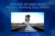 HISTORY OF WAR DOGS Military Working Dog (MWD). Skydiving Video.