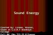 Sound Energy Created by: Linnea, Winson, Glenn at C.U.N.Y Brooklyn College Fall 08’ Edu 713.22 O’Connor.