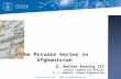 The Private Sector in Afghanistan.  Department of Commerce programs to promote private sector growth.  Trends that are pushing private sector growth.