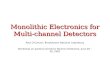 Monolithic Electronics for Multi- channel Detectors Paul O’Connor, Brookhaven National Laboratory Workshop on position-sensitive Neutron Detectors, June.