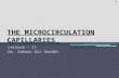 THE MICROCIRCULATION CAPILLARIES Lecture – 11 Dr. Zahoor Ali Shaikh 1.