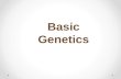 Basic Genetics *. View video at: .