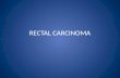 RECTAL CARCINOMA. Rectum The rectum is about 12 cm long & upper part breath 4 cm Present in pelvic cavity.
