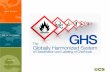WHERE BUSINESS AND THE ENVIRONMENT CONVERGE. WHERE BUSINESS AND THE ENVIRONMENT CONVERGE What is the GHS? >A common and coherent approach to defining.