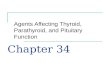 Chapter 34 Agents Affecting Thyroid, Parathyroid, and Pituitary Function.