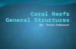By: David Anderson. Structure of a Coral Each coral is lined with multiple polyps which are individual animals that make up the coral. Each polyp has.