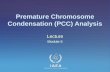 IAEA International Atomic Energy Agency Premature Chromosome Condensation (PCC) Analysis Lecture Module 6.