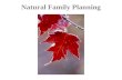 Natural Family Planning. Natural family planning (NFP) describes various modern methods of achieving or avoiding pregnancy based on knowledge of the signs.
