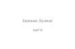 Immune System A&P II. Lymphatic Outline Lymphatic System Defense Systems –Innate Immune System –Adaptive Defense System Immunodeficiencies Immune Responses.
