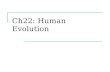 Ch22: Human Evolution. Evolution Vs. Intelligent Design Evolution  Change in heritable traits within a population over successive generations  Supported.
