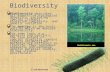 Biodiversity Biodiversity describes all aspects of biological diversity, including species richness, ecosystem complexity, and genetic variation. The species.