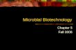 Microbial Biotechnology Chapter 5 Fall 2006. The Structure of Microbes Prokaryotes Archaebacteria Includes halophiles, thermophiles, “extremophiles” Eubacteria.