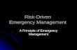 Risk-Driven Emergency Management A Principle of Emergency Management.