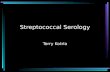 Streptococcal Serology Terry Kotrla. Introduction Gram-positive Beta hemolytic Spherical, ovoid or lancet shaped Pairs or chains.