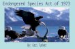 The Endangered Species Act of 1973 was created to provide conservation of endangered and threatened species of fish, wildlife, and plants. The Act came.
