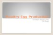 Poultry Egg Production Livestock Prouduction Ms. Boyt.