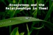 Ecosystems and the Relationships in Them!. Today’s Objectives Explain the interaction of biotic and abiotic factors in an ecosystem – Explain why ecosystems.