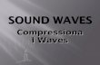 Compressional Waves.  Requires a medium for propagation.  Compression of molecules transmit sound.