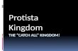 Protista Kingdom. Protista Characteristics  Eukaryotic Organisms that are not members of the Plantae, Animalia, or Fungi kingdoms  Most of them are.